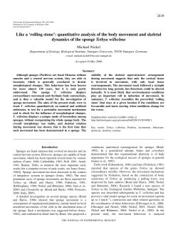 Like a `rolling stone`: quantitative analysis of the body movement and