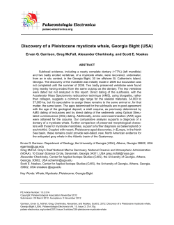 Discovery of a Pleistocene mysticete whale, Georgia Bight (USA)
