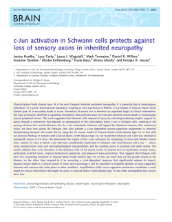 c-Jun activation in Schwann cells protects