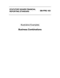 Illustrative Examples Business Combinations