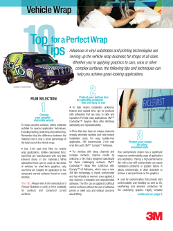Vehicle Wrap