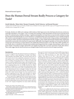 Does the Human Dorsal Stream Really Process a Category for Tools?