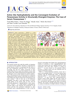 Active Site Hydrophobicity and the Convergent Evolution of