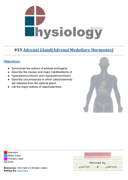 adrenal gland hormones(adrenal medulary hormones)