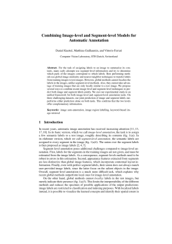 Combining Image-level and Segment