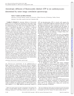 Anisotropic diffusion of fluorescently labeled ATP in rat