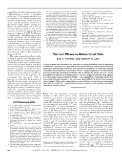 Newman and Zahs, Science, 275:844