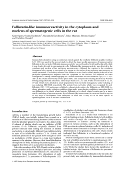Follistatin-like immunoreactivity in the cytoplasm