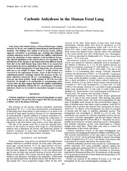 Carbonic Anhydrase in the Human Fetal Lung