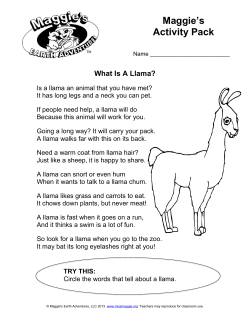 Maggie`s Activity Pack
