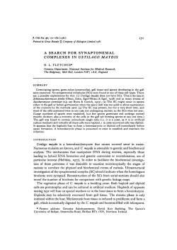 a search for synaptonemal complexes in ustilago maydis