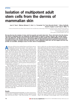 Isolation of multipotent adult stem cells from the