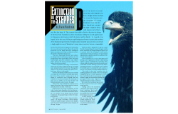 Extinction On The Steppes - Arizona State University