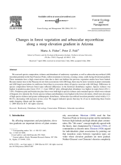 Changes in forest vegetation and arbuscular