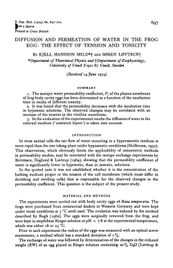 diffusion and permeation of water in the frog