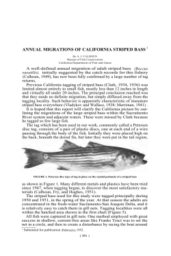ANNUAL MIGRATIONS OF CALIFORNIA STRIPED BASS 1