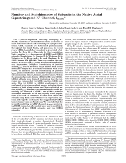 Number and Stoichiometry of Subunits in the Native Atrial G