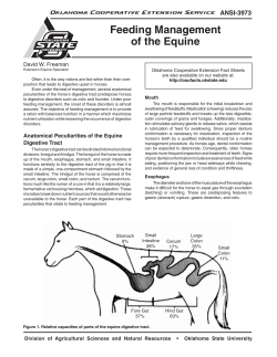 oksd_ansi_3973_2003-07.