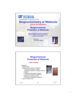 Biogeochemical Properties of Wetlands