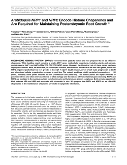 Arabidopsis NRP1 and NRP2 Encode Histone Chaperones and Are