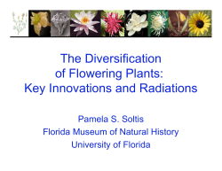 Presentation (1.70 MB PDF)