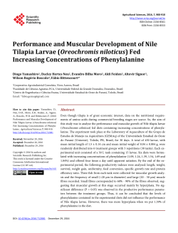 Performance and Muscular Development of Nile Tilapia Larvae
