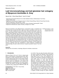 Leaf micromorphology and leaf glandular hair ontogeny of