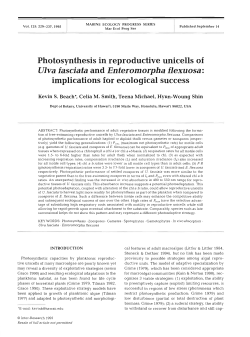 Full text in pdf format