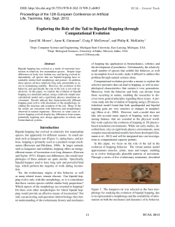 Exploring the Role of the Tail in Bipedal Hopping