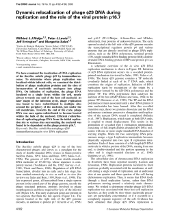Dynamic relocalization of phage f29 DNA during replication and the