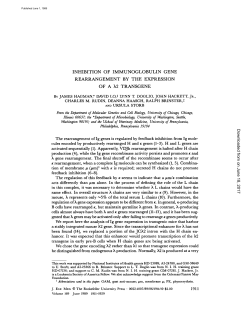 INHIBITION OF IMMUNOGLOBULIN GENE