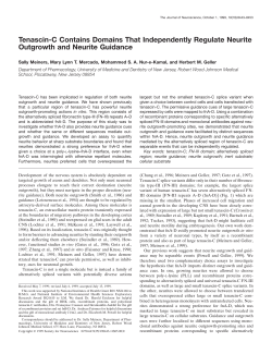 Tenascin-C Contains Domains That
