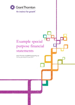 Special Purpose Example Financial Statements