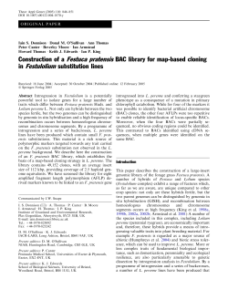 Construction of a Festuca pratensis BAC library for map