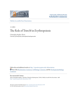The Role of Trim58 in Erythropoiesis