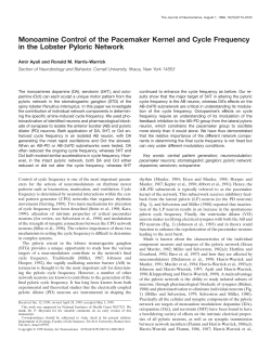 Monoamine Control of the Pacemaker Kernel and Cycle