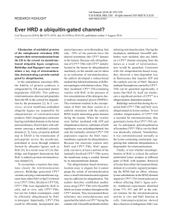 Ever HRD a ubiquitin-gated channel?