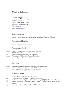 Matei Radulescu - vita - Faculty of Engineering