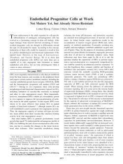 Endothelial Progenitor Cells at Work