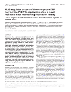 MutS regulates access of the error-prone DNA polymerase Pol IV to