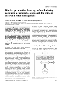 Biochar production from agro-food industry residues