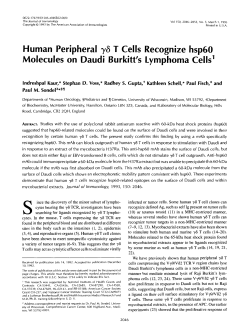 Human Peripheral y6 T Cells Recognize hsp60 Molecules on Daudi