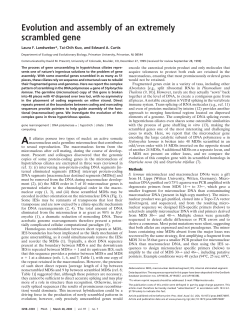 Evolution and assembly of an extremely scrambled gene