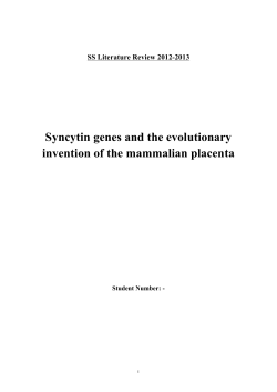 Syncytin genes and the evolutionary invention of the mammalian
