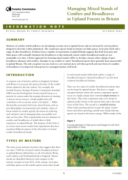 Managing Mixed Stands of Conifers and Broadleaves in Upland