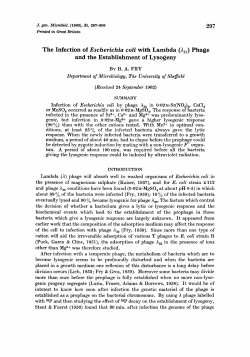 The Infection of Escherichia coli with Lambda (A2