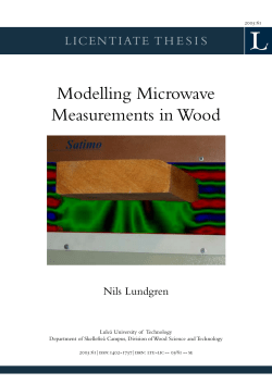 Modelling Microwave Measurements in Wood