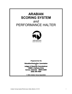 ARABIAN SCORING SYSTEM and PERFORMANCE HALTER