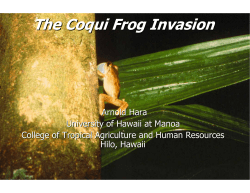 The Coqui Frog Invasion