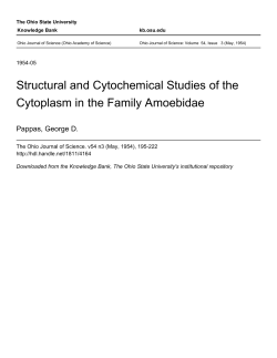Structural and Cytochemical Studies of the Cytoplasm in the Family